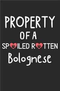 Property Of A Spoile...