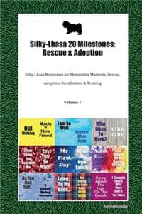 Silky-Lhasa 20 Milestones