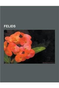 Felids: Big Cats of ...