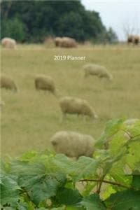 2019 Planner