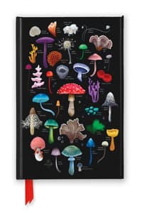 Anna Stead: Mushroom...