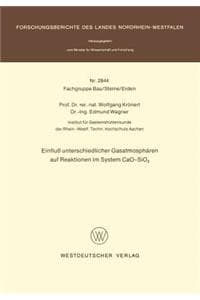 Einfluß Unterschiedl...