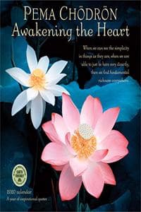 Pema Chodron 2020 Wa...