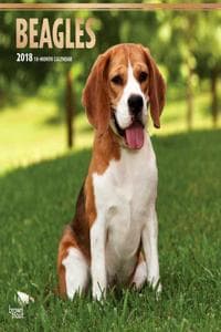 2018 Beagles Wall Ca...