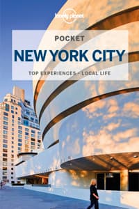 Lonely Planet Pocket...