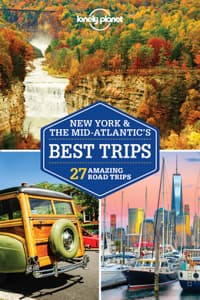 Lonely Planet New Yo...