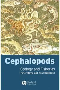 Cephalopods