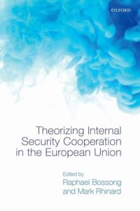 Theoriz Intern Secur...