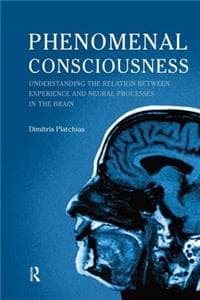 Phenomenal Consciousness
