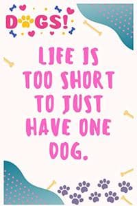 Life is too short to...