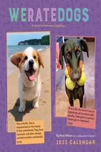 WeRateDogs 2023 Wall...