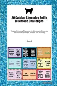 20 Catalan Sheepdog ...