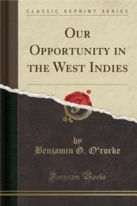 Our Opportunity in t...