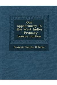 Our Opportunity in t...