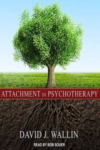 Attachment in Psycho...