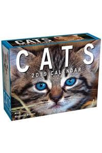 Cats 2019 Mini Day-T...