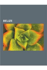 Belize: Bauwerk in B...
