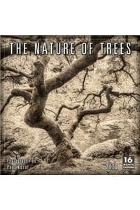 2020 the Nature of T...