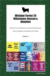 Wicklow Terrier 20 M...