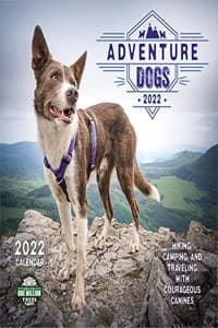 Adventure Dogs 2022 ...