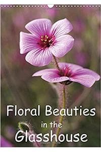 Floral Beauties in t...