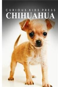 Chihuahua - Curious ...