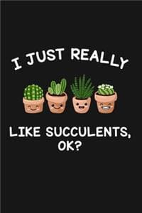 I Just Really Like S...