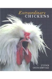 Extraordinary Chickens