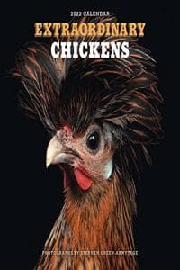 Extraordinary Chicke...