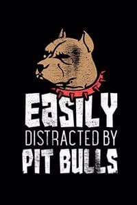 Easily Distracted By...