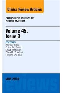 Volume 45, Issue 3, ...