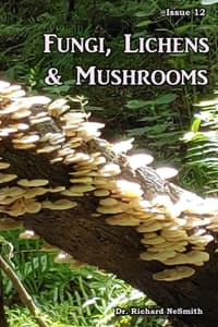 Fungi, Lichens & Mus...