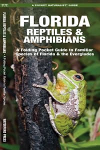 Florida Reptiles & A...