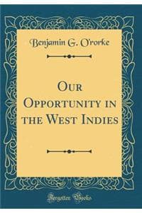 Our Opportunity in t...