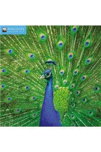 Peacocks Wall Calend...