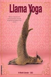 Llama Yoga 2023 Wall...