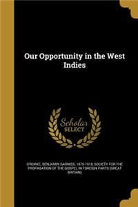 Our Opportunity in t...