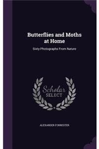 Butterflies and Moth...
