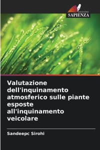 Valutazione dell'inq...