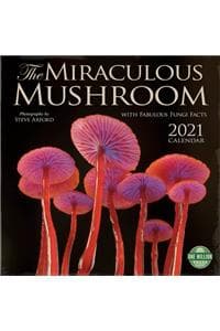 Miraculous Mushroom ...
