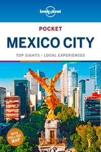 Lonely Planet Pocket...
