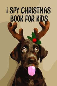 I Spy Christmas Book...