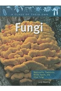 Fungi: Mushrooms, To...