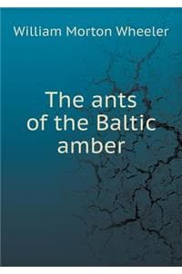 The Ants of the Balt...