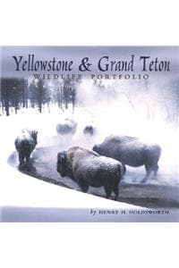 Yellowstone & Grand ...