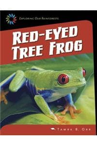 Red-Eyed Tree Frog