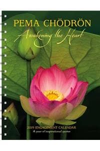 Pema Chodron 2019 En...