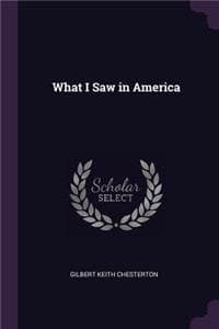 What I Saw in America
