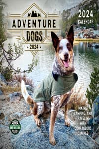 Adventure Dogs 2024 ...