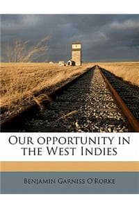 Our Opportunity in t...